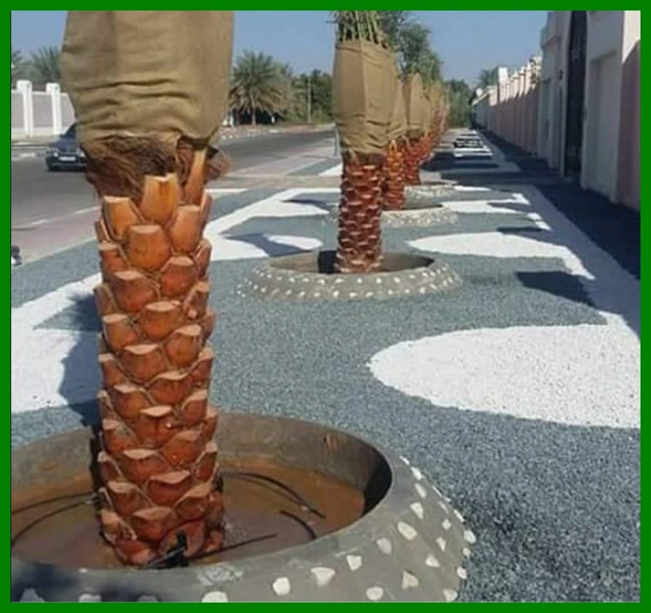 عمال تكريب نخيل