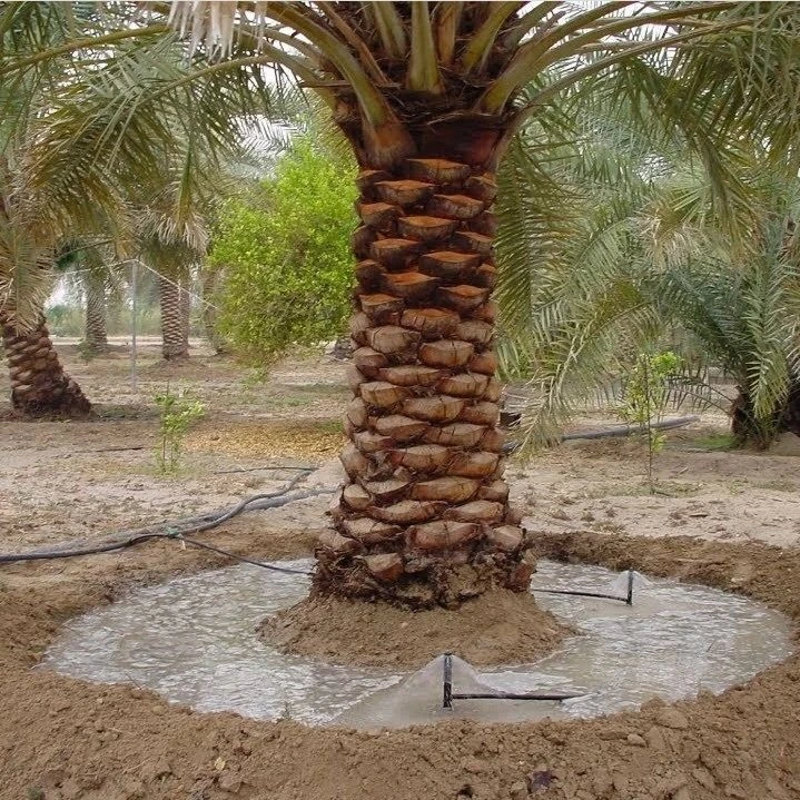 عامل تكريب نخيل